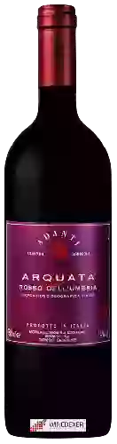 Wijnmakerij Adanti - Arquata Umbria Rosso