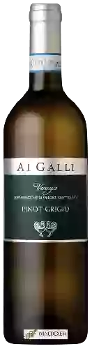 Wijnmakerij Ai Galli - Classic Pinot Grigio