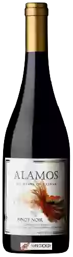 Wijnmakerij Alamos - Pinot Noir