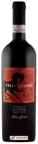 Wijnmakerij Alberese - Pellegrone