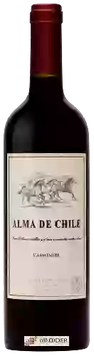 Wijnmakerij Alma de Chile - Carménère