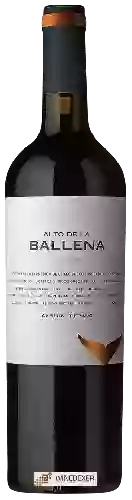 Wijnmakerij Alto de la Ballena - Cabernet Franc Reserva