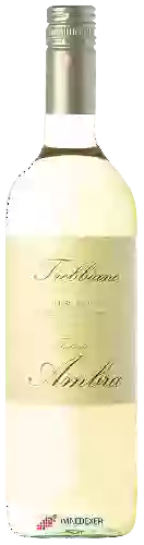 Wijnmakerij Fattoria Ambra - Trebbiano Toscana