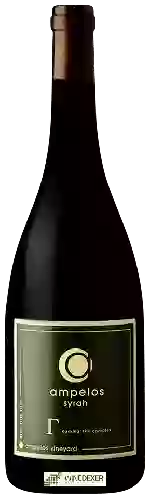 Wijnmakerij Ampelos - Gamma (The Complex) Syrah