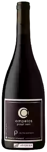 Wijnmakerij Ampelos - Rho (The Correlation) Pinot Noir