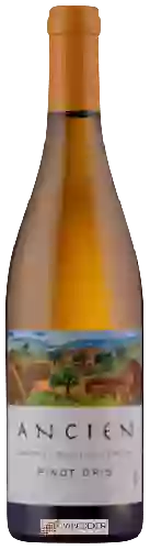 Wijnmakerij Ancien - Sangiacomo Vineyard Pinot Gris