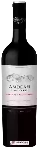 Wijnmakerij Andean Vineyards - Cabernet Sauvignon