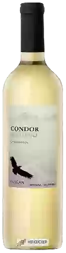 Wijnmakerij Andean Vineyards - Condor Andino Chardonnay