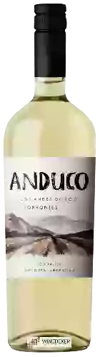 Wijnmakerij Andeluna - Anduco Torrontes