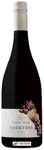 Wijnmakerij Andevine - The Signature Collection Shiraz