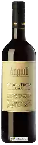 Wijnmakerij Angiuli Donato - Nero di Troia