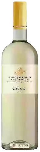 Wijnmakerij Antale - Pinot Grigio Valdadige