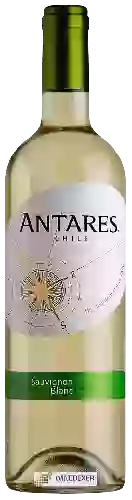 Wijnmakerij Antares - Sauvignon Blanc