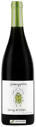 Wijnmakerij Antoine Lienhardt - Gamayoptère Gamay du Pierrot