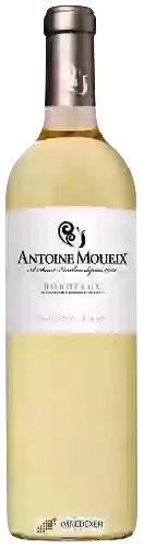 Wijnmakerij Antoine Moueix - Sauvignon Blanc Bordeaux