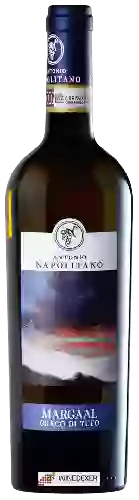 Wijnmakerij Antonio Napolitano - Margaal Greco di Tufo