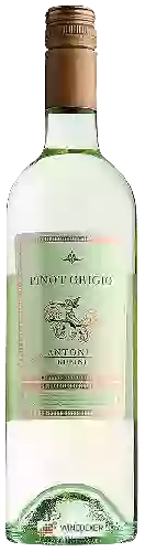 Wijnmakerij Antonio Rubini - Pinot Grigio