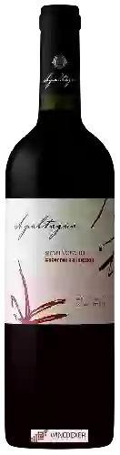 Wijnmakerij Apaltagua - Gran Verano Cabernet Sauvignon