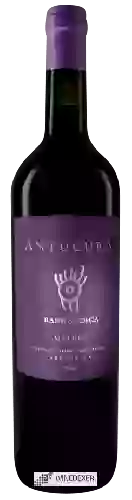 Wijnmakerij Antucura - Barrandica Malbec