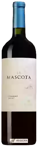 Wijnmakerij Mascota Vineyards - La Mascota Cabernet Franc