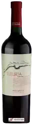 Wijnmakerij Suter - Lujuria Cabernet Sauvignon