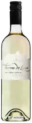 Wijnmakerij Tierra de Luna - Torrontes - Pinot Grigio