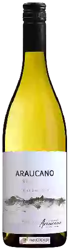 Wijnmakerij Araucano - Chardonnay Reserva