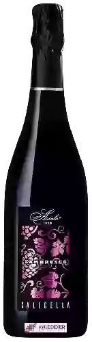 Wijnmakerij Ariola - Lambrusco Terre di Calicella