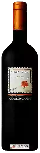 Wijnmakerij Arnaldo-Caprai - Anima Umbra Umbria