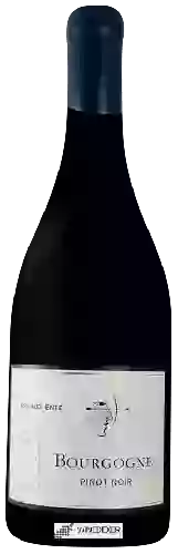 Wijnmakerij Arnaud Ente - Bourgogne Pinot Noir