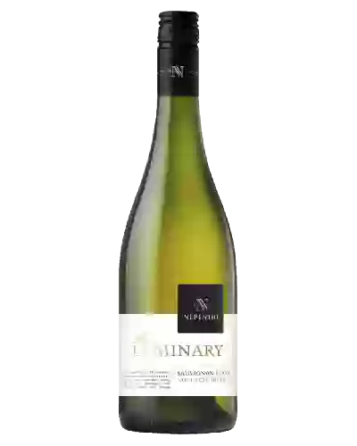 Wijnmakerij Arrogant Frog - Limited Summer Edition Sauvignon Blanc