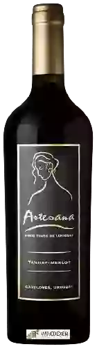 Wijnmakerij Artesana - Tannat - Merlot