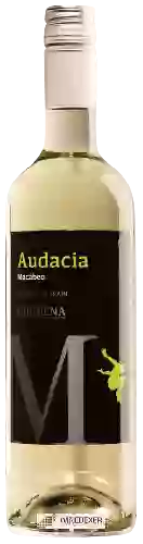 Wijnmakerij Audacia - Macabeo