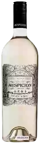 Wijnmakerij Auspicion - Sauvignon Blanc