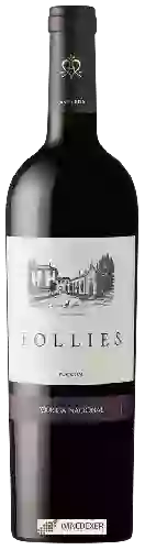 Wijnmakerij Follies - Touriga Nacional