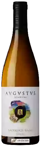 Wijnmakerij Avgvstvs - Sauvignon Blanc