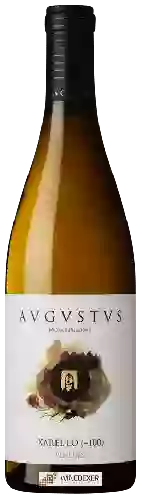 Wijnmakerij Avgvstvs - Xarel-lo (+100)