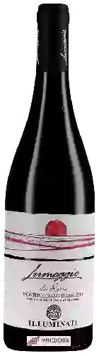 Wijnmakerij Illuminati - Lumeggio di Rosso Montepulciano d'Abruzzo