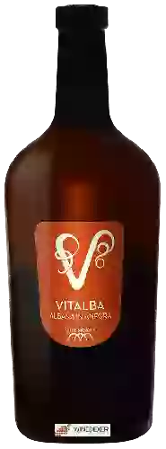 Wijnmakerij Tre Monti - Vitalba Albana in Anfora