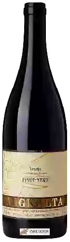 Wijnmakerij Vignalta - Pinot Nero