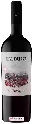 Wijnmakerij Balduzzi - Classic Cabernet Sauvignon