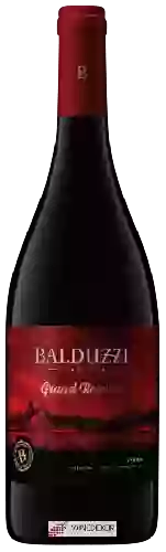 Wijnmakerij Balduzzi - Grand Reserve Syrah