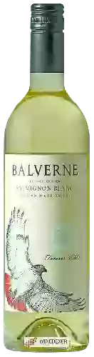 Wijnmakerij Balverne - Forever Wild Sauvignon Blanc