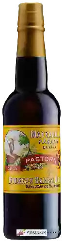 Wijnmakerij Barbadillo - Manzanilla Pasada Pastora