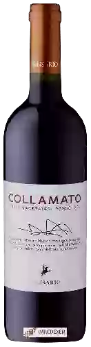 Wijnmakerij Belisario - Coll'Amato Colli Maceratesi Rosso