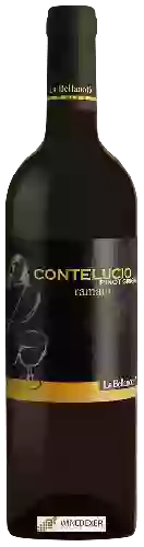 Wijnmakerij La Bellanotte - Contelucio Pinot Grigio Ramato