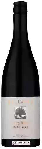 Wijnmakerij Bellvale - Stony Block Pinot Noir