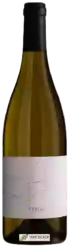 Wijnmakerij Bencze - Virgo