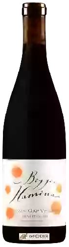 Wijnmakerij Biggio Hamina - Holmes Gap Vineyard Pinot Noir