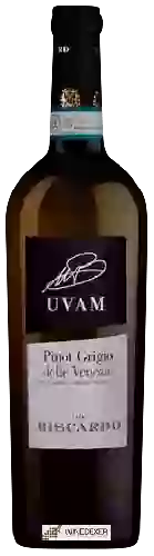 Wijnmakerij Biscardo - Uvam Pinot Grigio